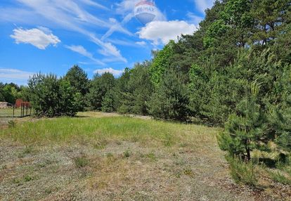 Działka budowlana 2630m2 z lasem