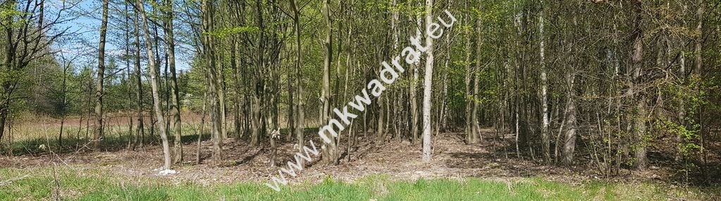 Działka 1030 m budy mszczonowskie