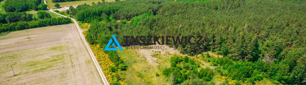 Działka rolna o pow. 1 ha dębnica kaszubska