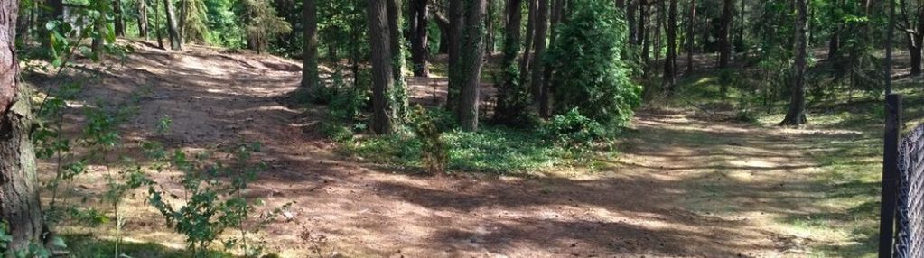 Działka w lesie 2064 m² - letniskowa i całoroczna