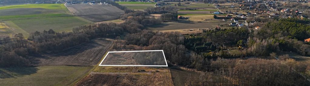 Z lasem,prąd,nowe osiedle,zawonia 4min