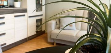 Dochodowa kamienica 3 lokale trzebiatów