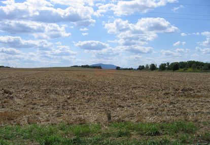 Działka siedliskowa 20 km od wrocławia.