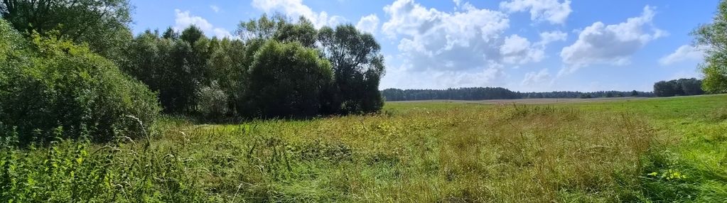 Daleko od zgiełku -działka z wz | warmia | kiersiny