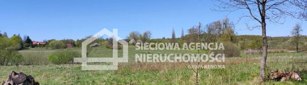 Na sprzedaż działka bud-rolna11575m2buszkowy górne