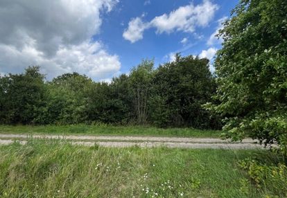 Działka z potencjałem w teodorowie