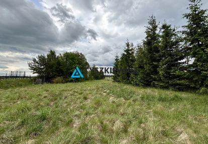 Działka blisko jeziora-osowo leśne-bory tucholskie