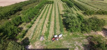 Poniatowa kolonia 4ha działka siedliskowo-rolna
