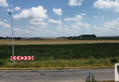 Działka budowlana (mn) - wierciszów