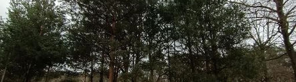 Działki budowlane w różankach!