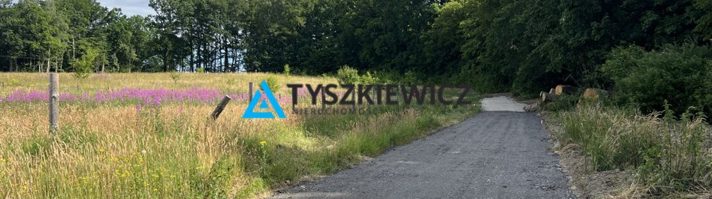 Kameralna działka w otulinie lasu