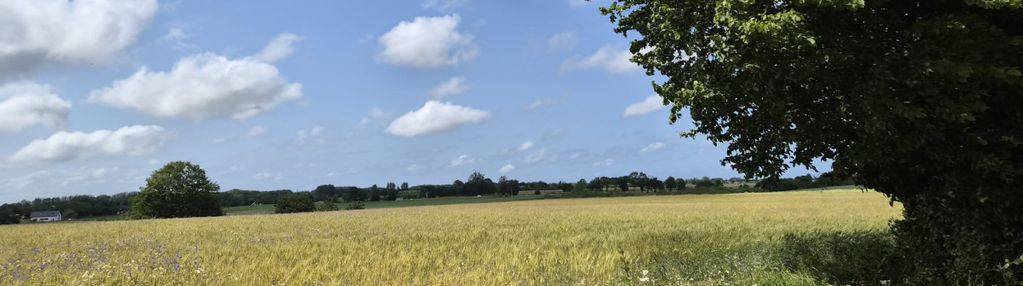 Twoja własna wyjątkowa działka pod dom