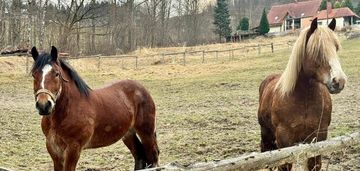 Widokowa działka budowlana w wiśle 7 arów