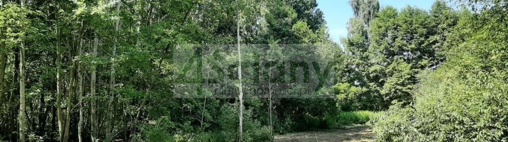 Kształtna działka w otulinie leśnej, blisko stacja