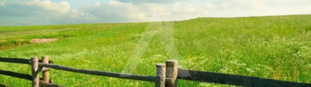 Bez pcc - 97,500 netto!