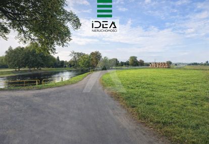 Lisi ogon, działka 1161 kw, woda i prąd, kostka!