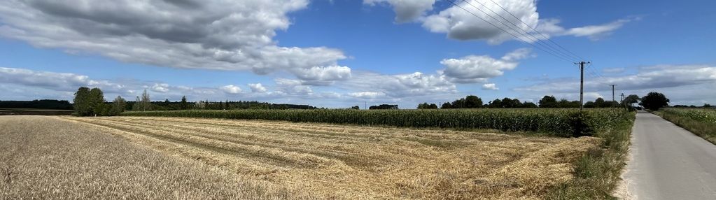 Działka 1,1683 ha z częścią budowlaną