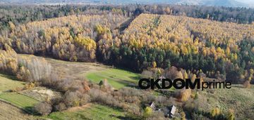Działka inwestycyjna cisów 22 500 m²