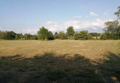 Działka na sprzedaż 3000m2