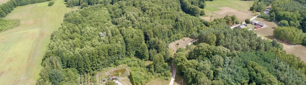 Działka położona w zielonej okolicy, nowe byliny