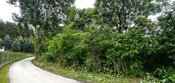 Wyjątkowa działka w otoczeniu lasu o pow. 49a