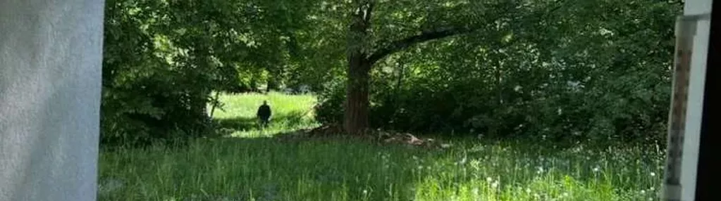 Mieszkanie z widokiem na park. Na Stokach