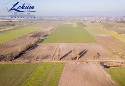 Działka siedliskowa, tereny leśne w pobliżu