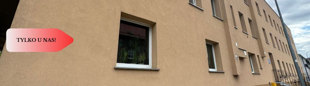 Duży ogródek/do remontu
