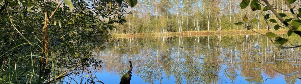 3,44 ha siedlisko, jezioro