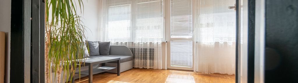 3-pok / widokowe / pet friendly
