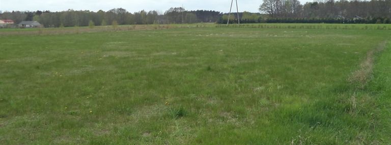Działka 3000m2, konarzew