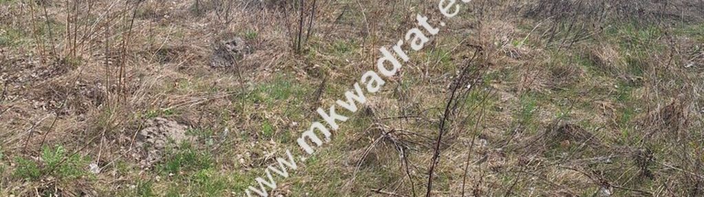 Ładna działka wśród nowej zabudowy