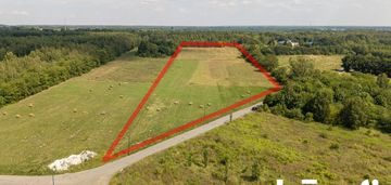 Działka inwestycyjna z dużym potencjałem, widzew