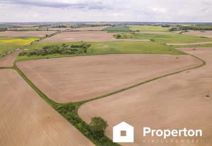 Działka w cedyni 5,36ha z warunkami zabudowy