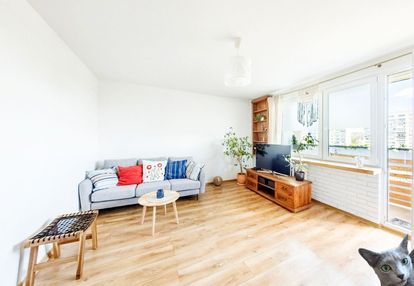 Ania ma kota. i fajną kawalerkę na chojnach.