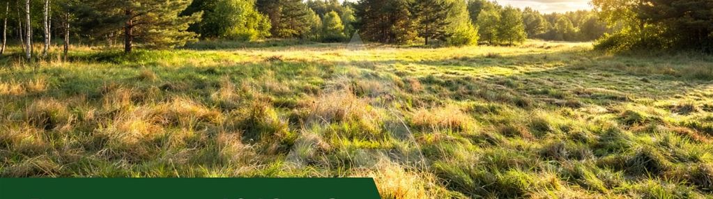 Rynarzewo, działka z wz, woda, prąd i światłowód.