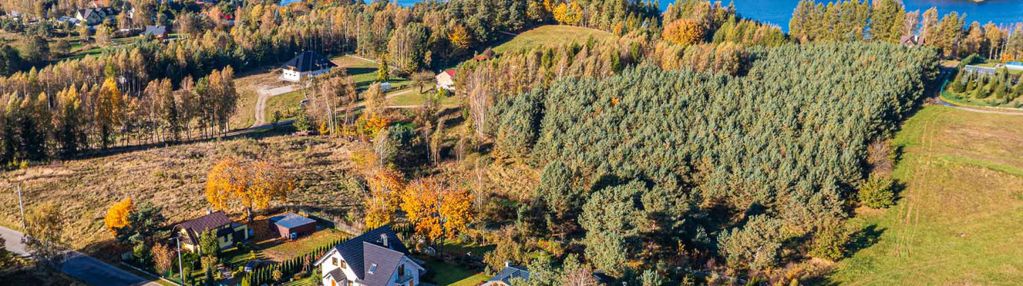 Komfortowa posiadłość, duża działka, ładny ogród