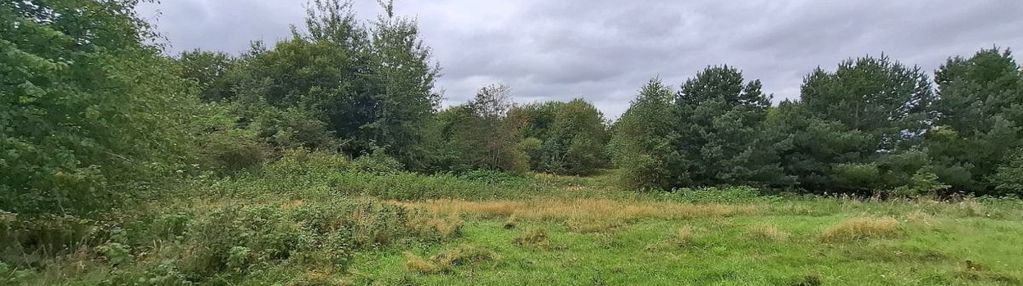 Kompleks działek w skrzeszewie żukowskim!