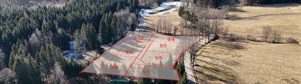 Działka pod jaworem 80zł / 1mkw