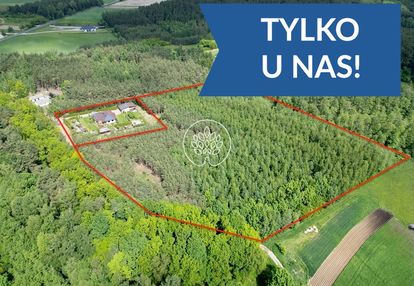 Dom w środku własnego lasu. cisza i spokój