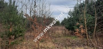 Działka w dobrej lokalizacji żabia wola