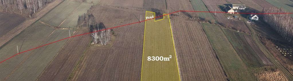 Wśród pól i lasów pod dom jednorodzinny