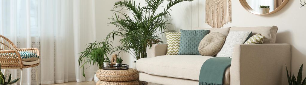 2 pokoje w centrum, wysoki standard