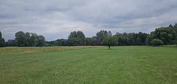 Działka budowlano-rolna wilków polski