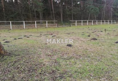 Działka pod lasem - tarkowo  dolne