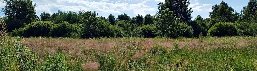 Atrakcyjna, działka budowlana w łyścu.