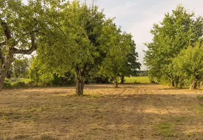 DZIAŁKA ROLNA z możliwością zabudowy zagrodowej