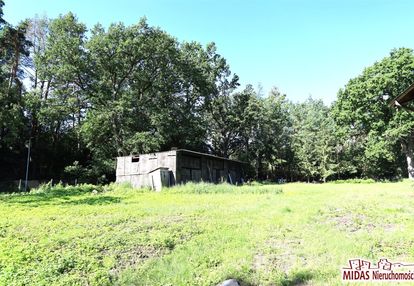 Działka budowlana  w otoczeniu lasu koło torunia