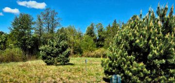 Działka siedliskowa z wz nad rzeką narew