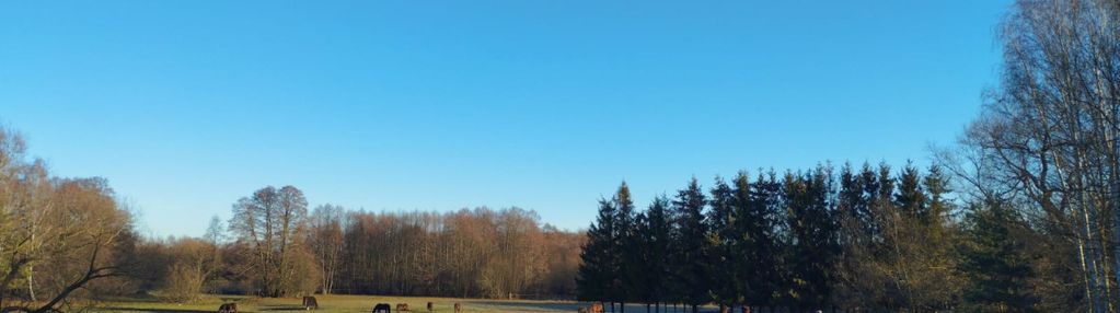 Rancho z domem, k/zalesia górnego,gm.piaseczno